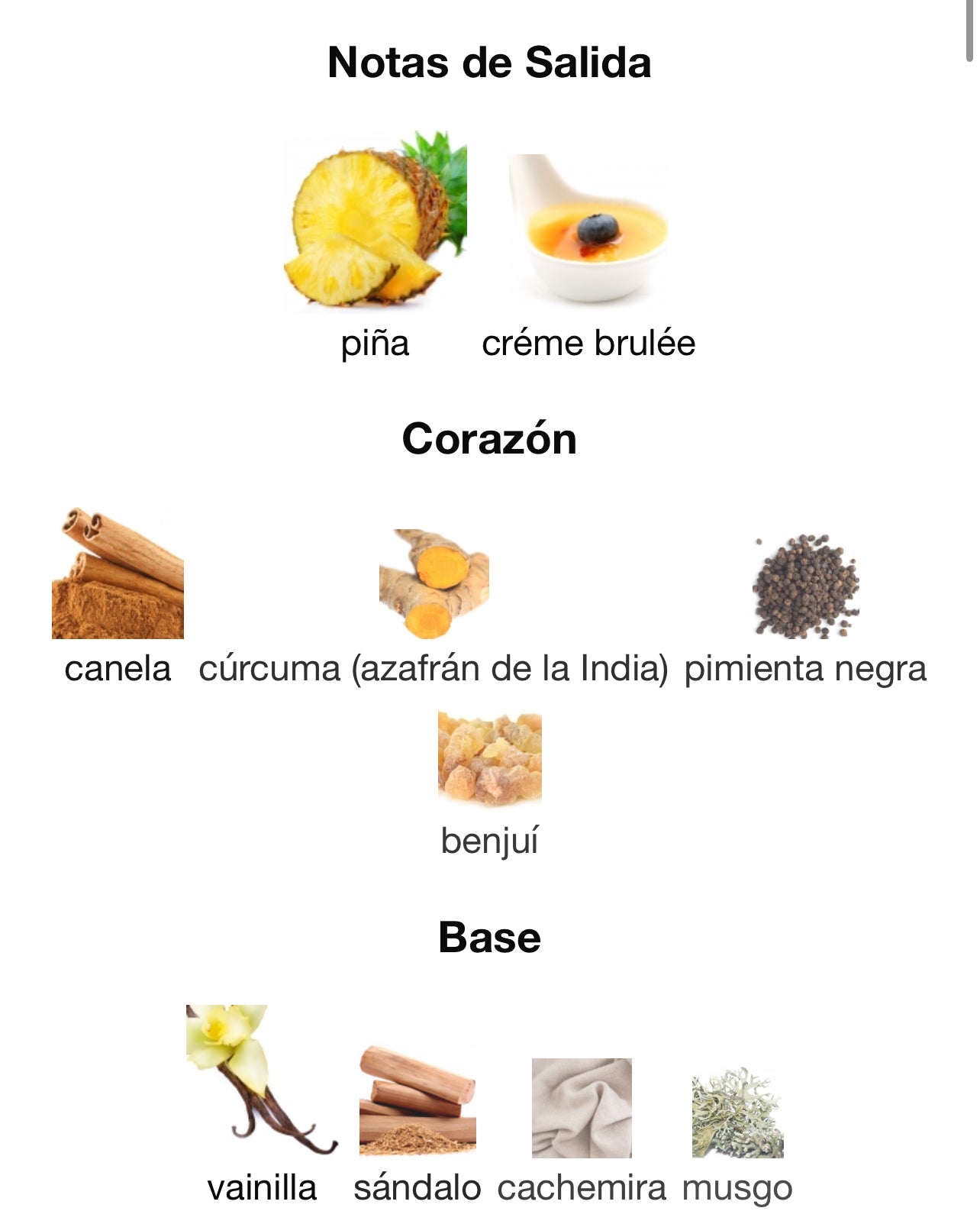 Lattafa Bade Al Oud Honor & Glory + Regalo frasco de viaje.